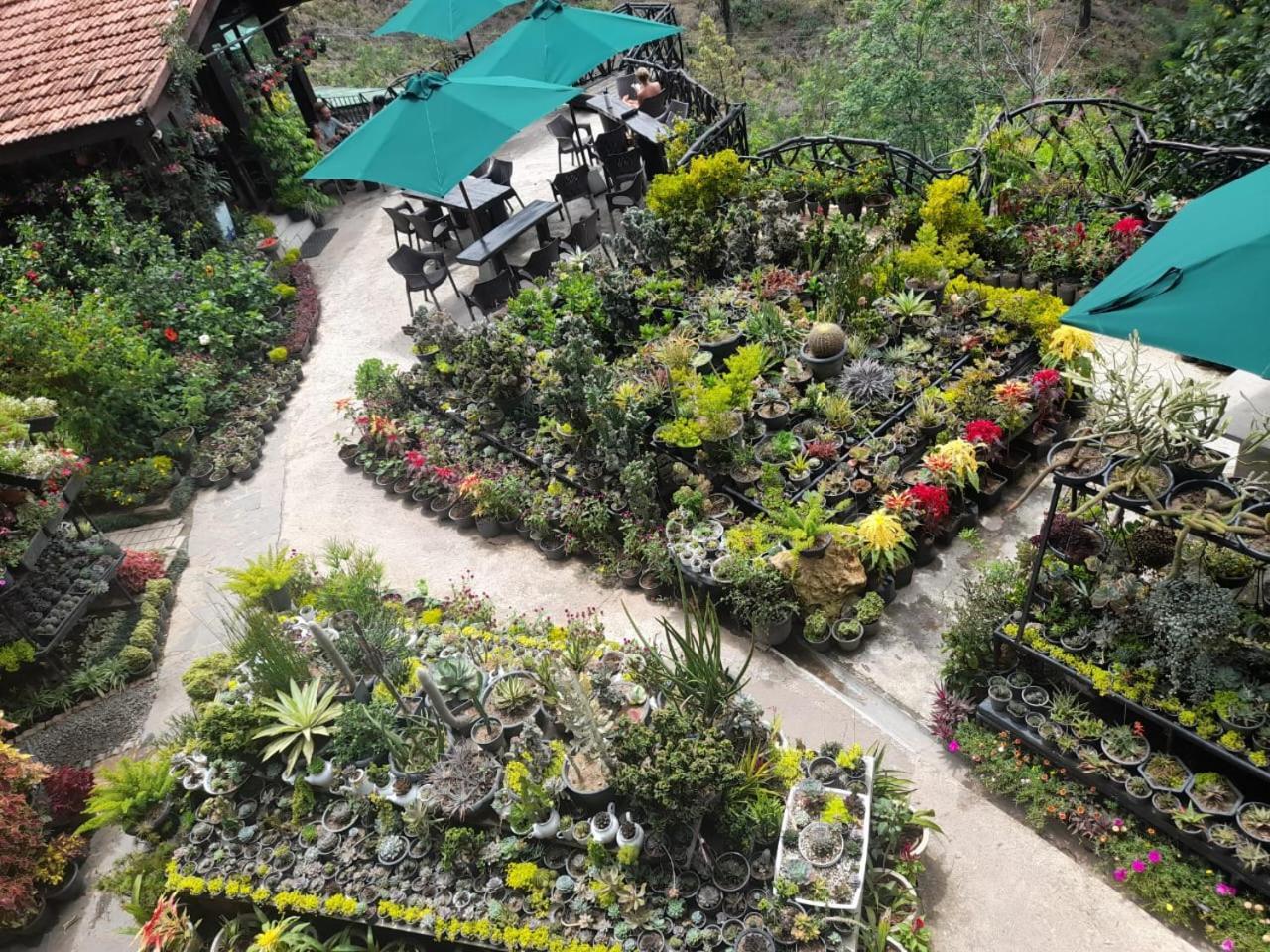 Ella Flower Garden Resort Exteriér fotografie